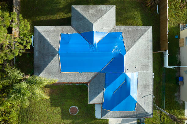 Best Roof Maintenance and Cleaning  in Kayak Point, WA